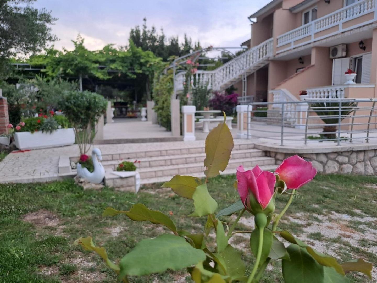 Apartments Mig - With Beautiful Garden Supetarska Draga Luaran gambar