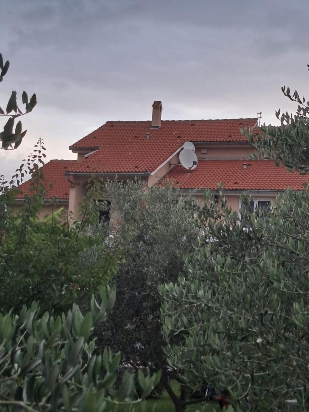 Apartments Mig - With Beautiful Garden Supetarska Draga Luaran gambar